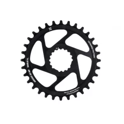 Plato Leonardi Gecko Capo Hollowgram FSI C2